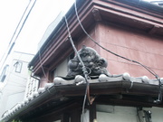 大阪の家　再び生きる。