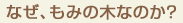 なぜ、もみの木なのか？