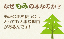 なぜ、もみの木なのか？