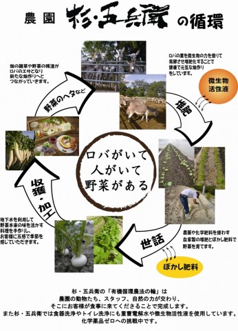 杉・五兵衛,農園のお弁当　