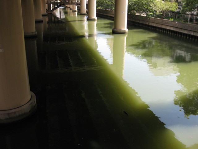 東横掘川