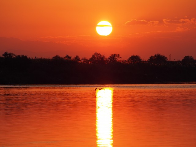 夕陽