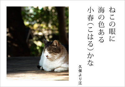 小春日和