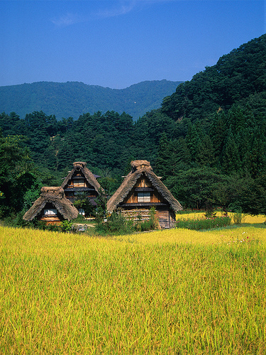 究極の木造住宅